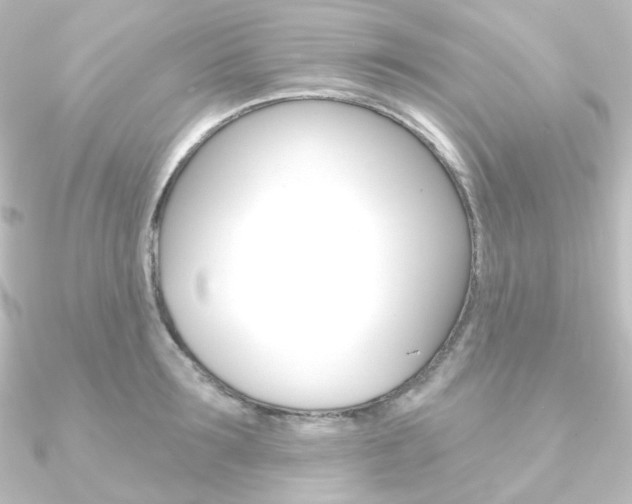 X0000090950899200708021059