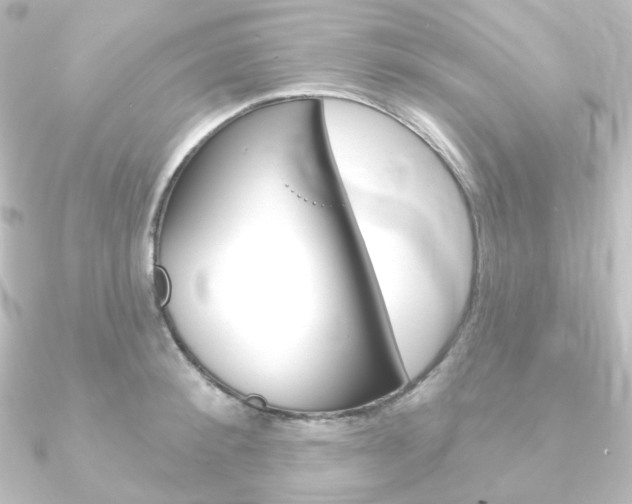 X0000090950900200708021059