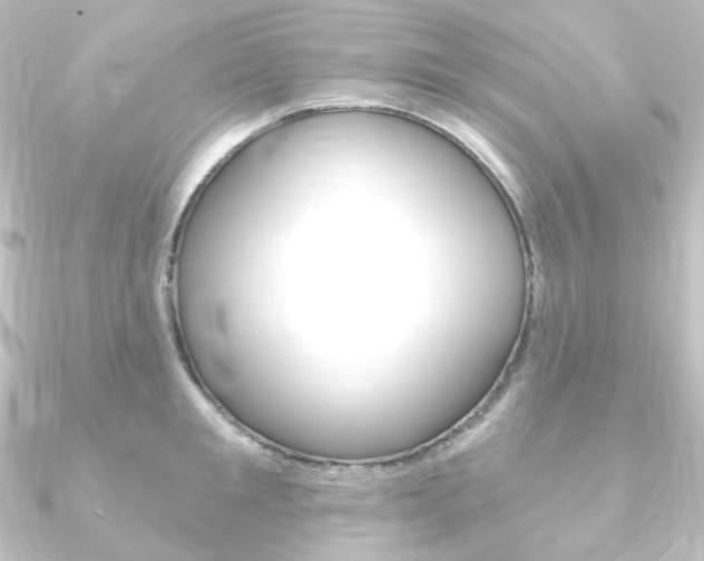 X0000090950901200708021059