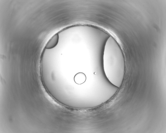 X0000090950903200708021059
