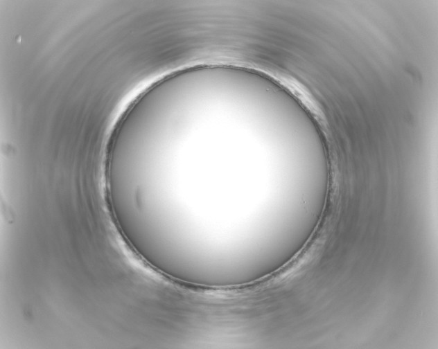 X0000090950904200708021059