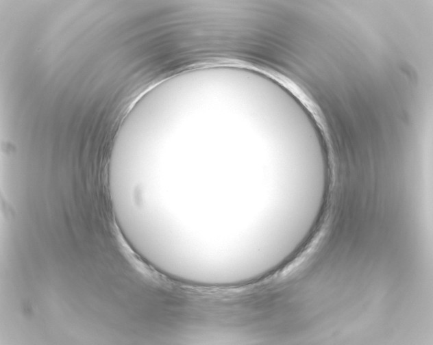 X0000090950905200708021059