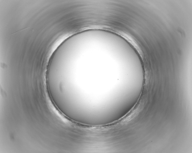 X0000090950906200708021059