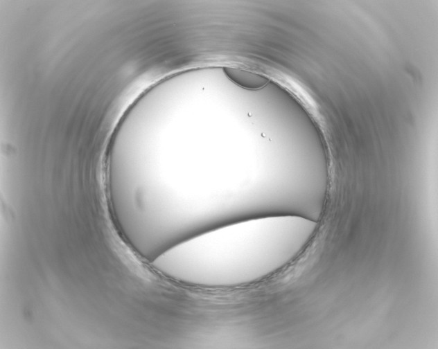 X0000090950907200708021059