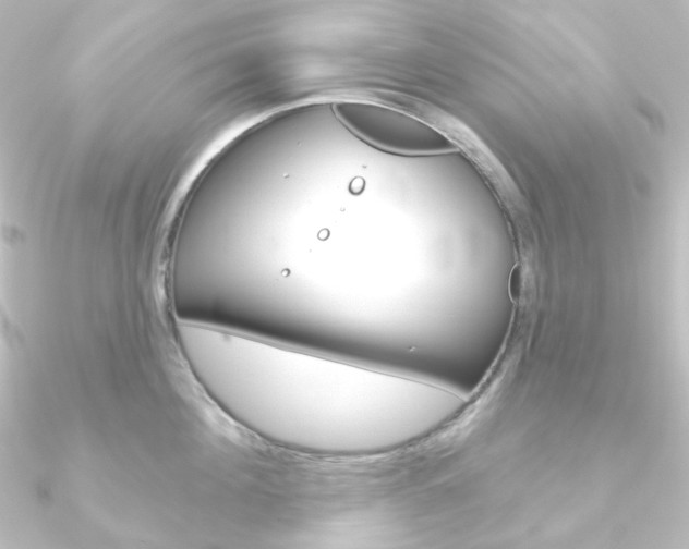 X0000090950908200708021059