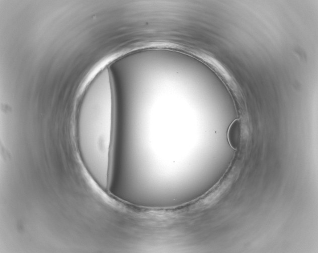 X0000090950910200708021059