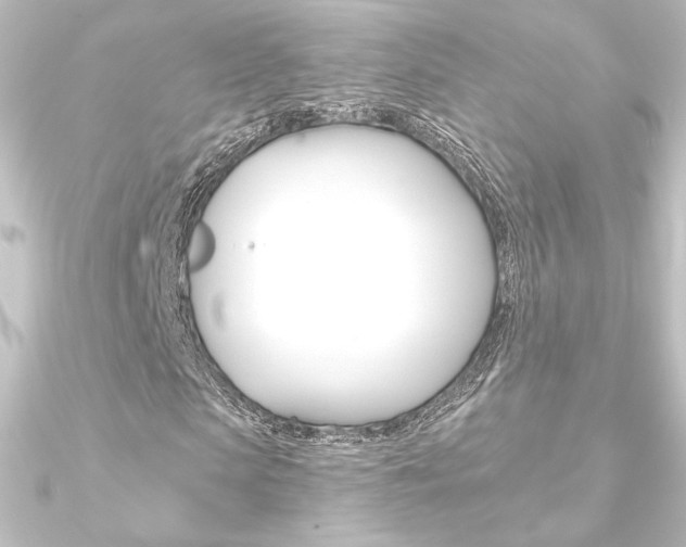 X0000090950913200708021058