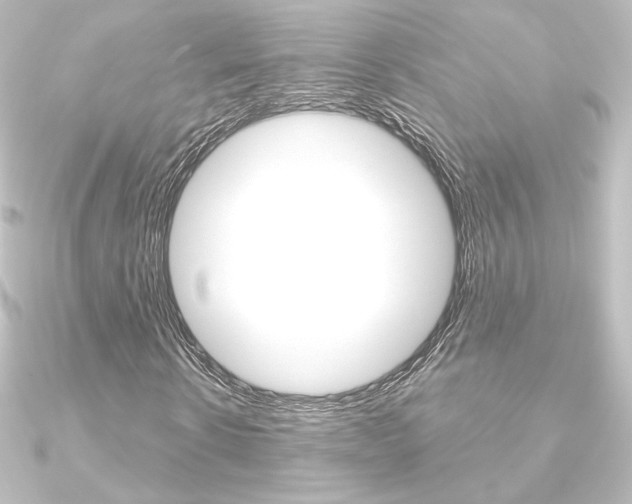 X0000090950914200708021058
