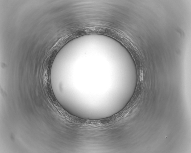 X0000090950915200708021058