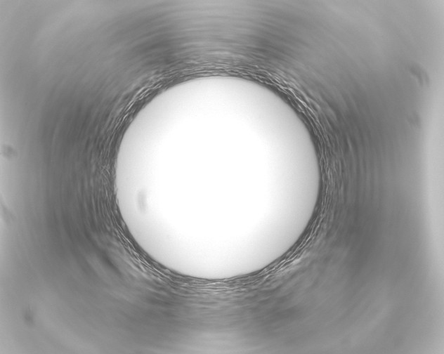 X0000090950916200708021058