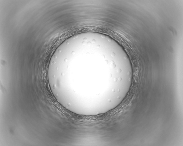 X0000090950917200708021058