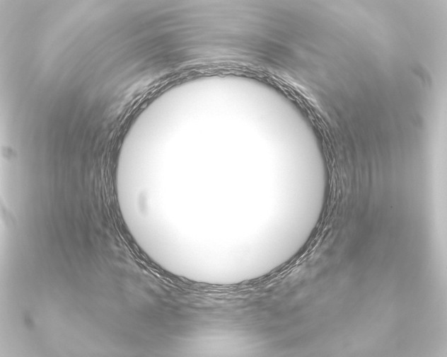 X0000090950918200708021058