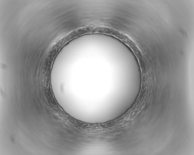 X0000090950919200708021058