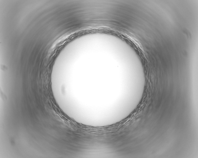 X0000090950920200708021058
