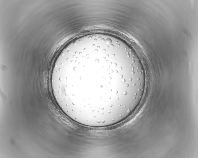 X0000090950921200708021058