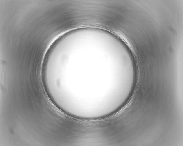 X0000090950924200708021058