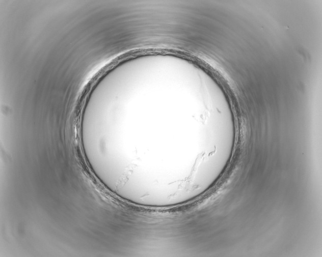 X0000090950925200708021058
