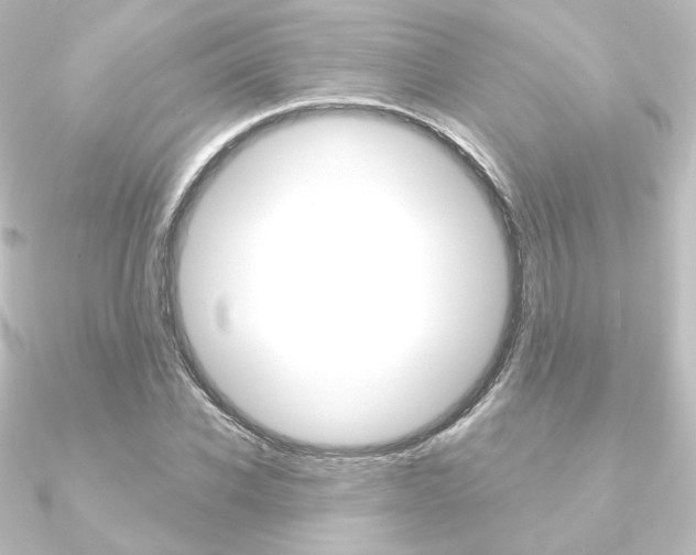 X0000090950926200708021058