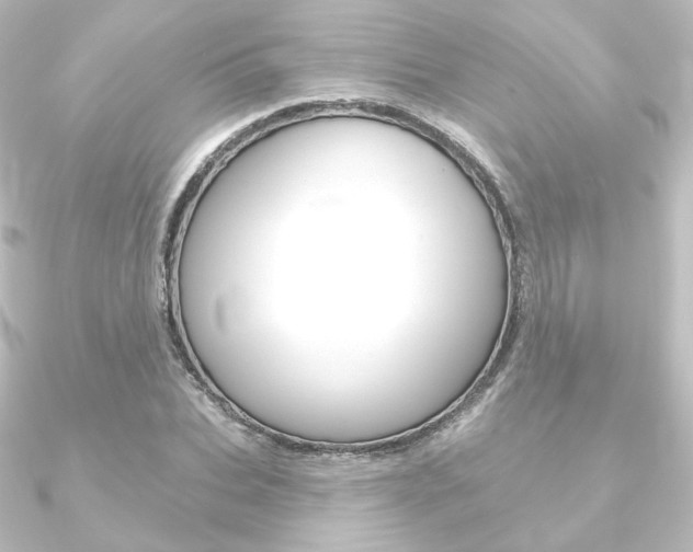 X0000090950927200708021058