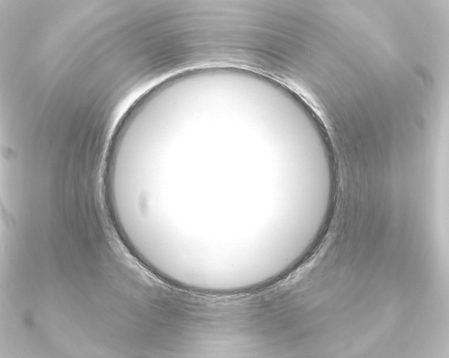 X0000090950928200708021058