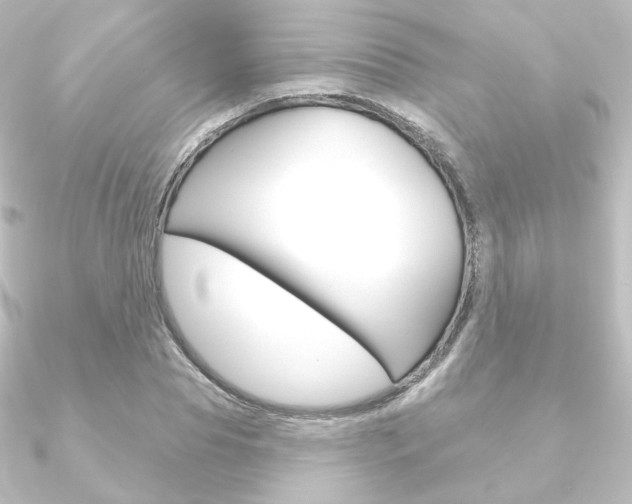 X0000090950929200708021058