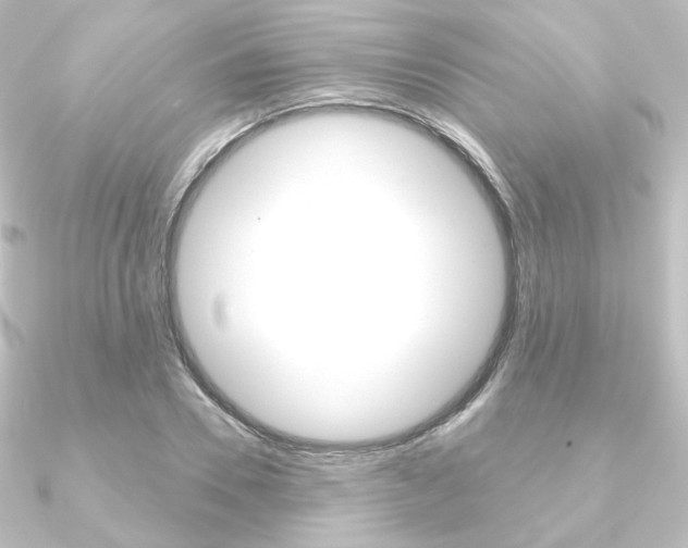 X0000090950930200708021058