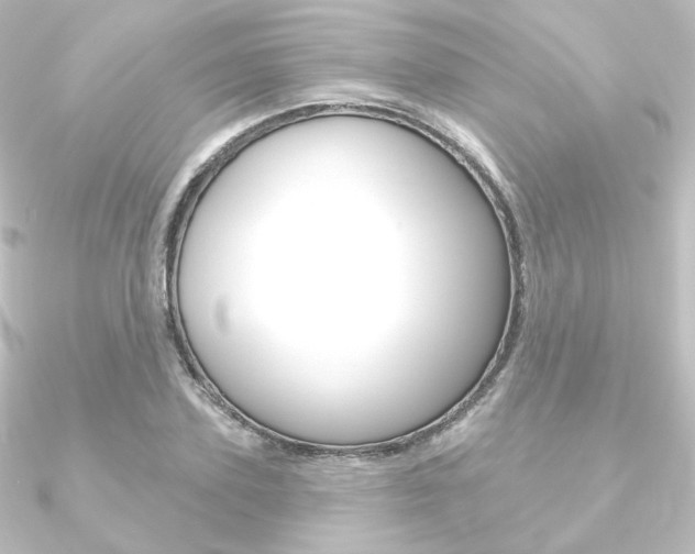 X0000090950931200708021058