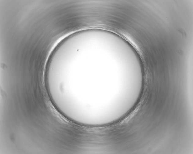 X0000090950932200708021058