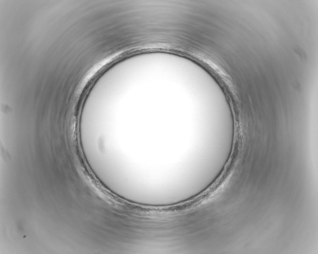 X0000090950933200708021058