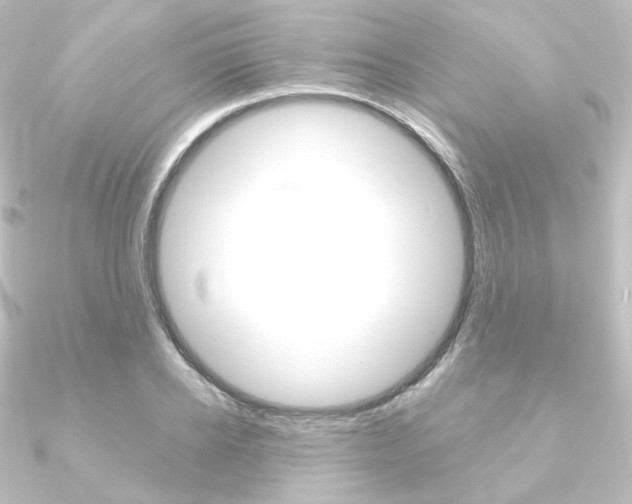X0000090950934200708021058