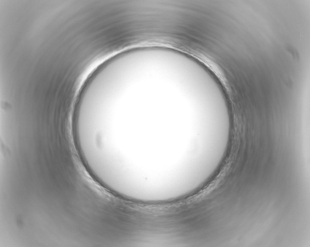 X0000090950936200708021058