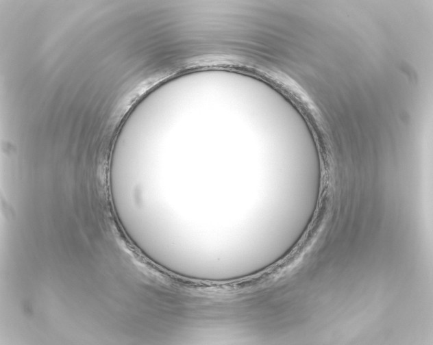 X0000090950937200708021058