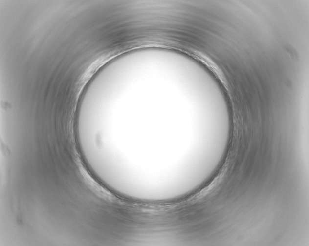X0000090950938200708021058
