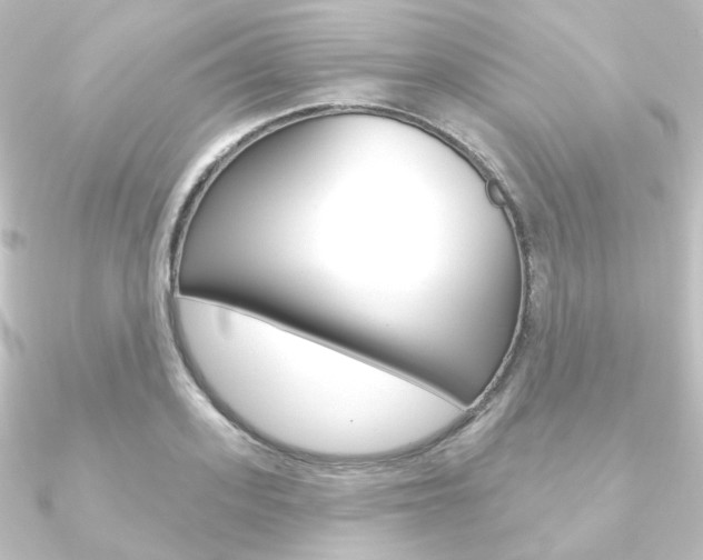 X0000090950939200708021058
