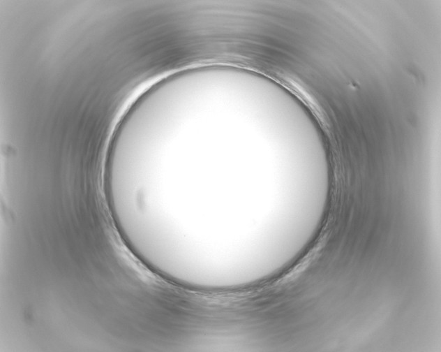 X0000090950940200708021058
