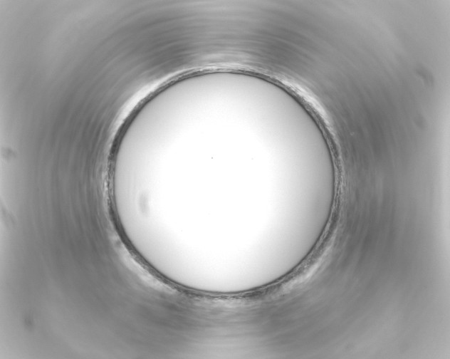 X0000090950941200708021058