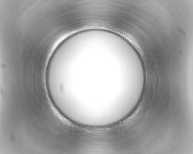 X0000090950942200708021058