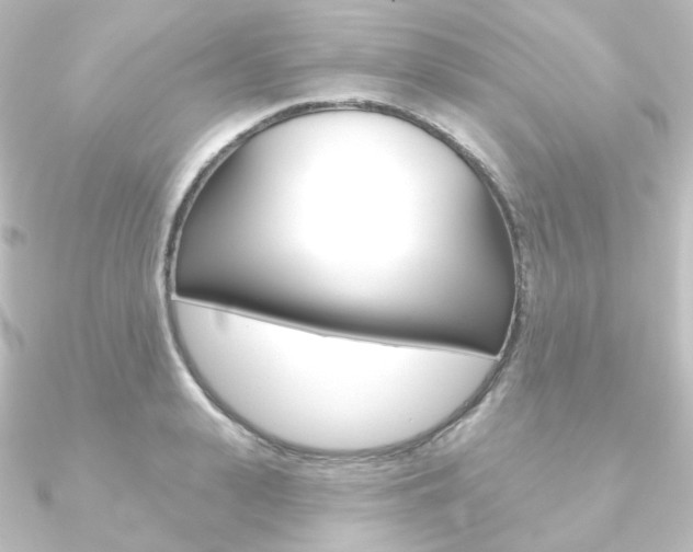 X0000090950943200708021058