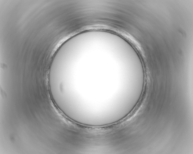 X0000090950945200708021058