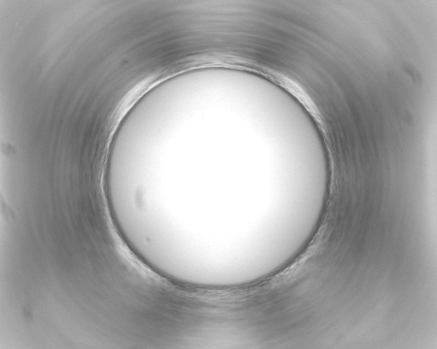X0000090950946200708021058