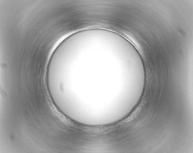 X0000090950948200708021058