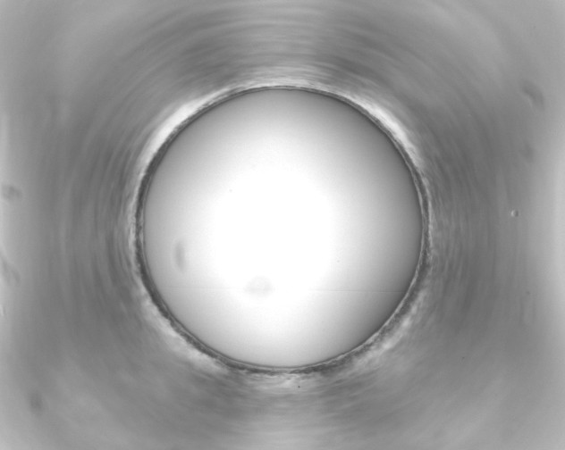 X0000090950949200708021058