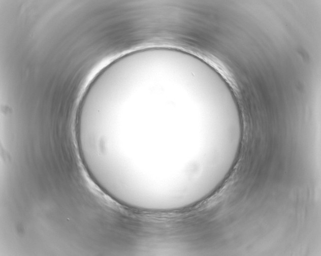 X0000090950950200708021058