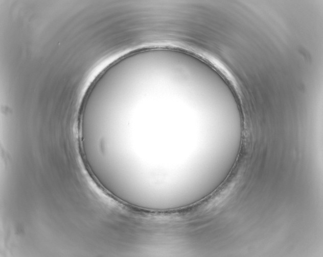 X0000090950951200708021058
