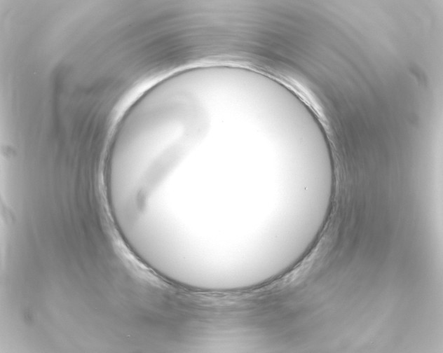 X0000090950952200708021058