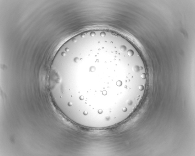 X0000090950953200708021058