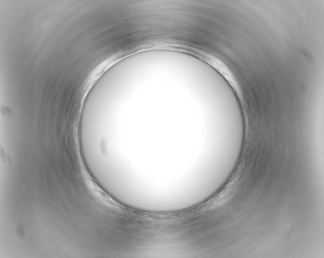 X0000090950954200708021058