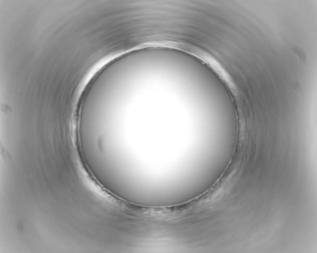 X0000090950955200708021058