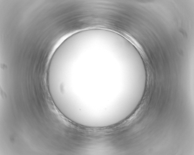 X0000090950956200708021058