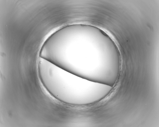 X0000090950957200708021058